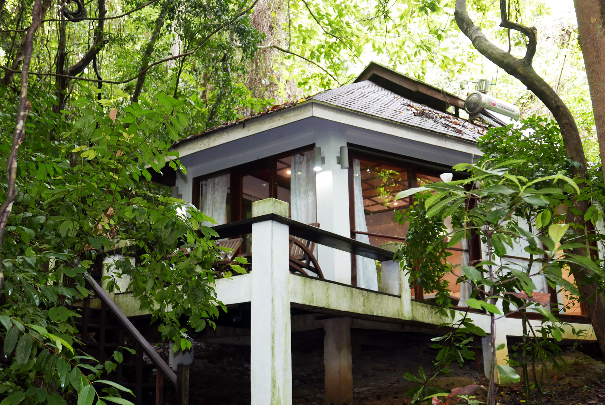 Jungle Cottage