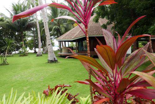 standard-cottage-sea-view-dolarog